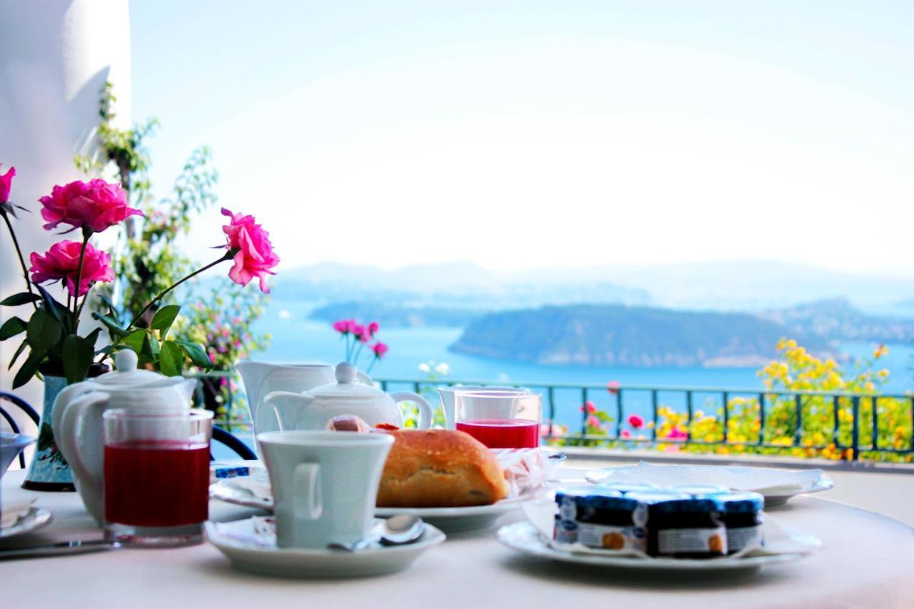 이스키아 La Pergola Del Torchio B&B 외부 사진