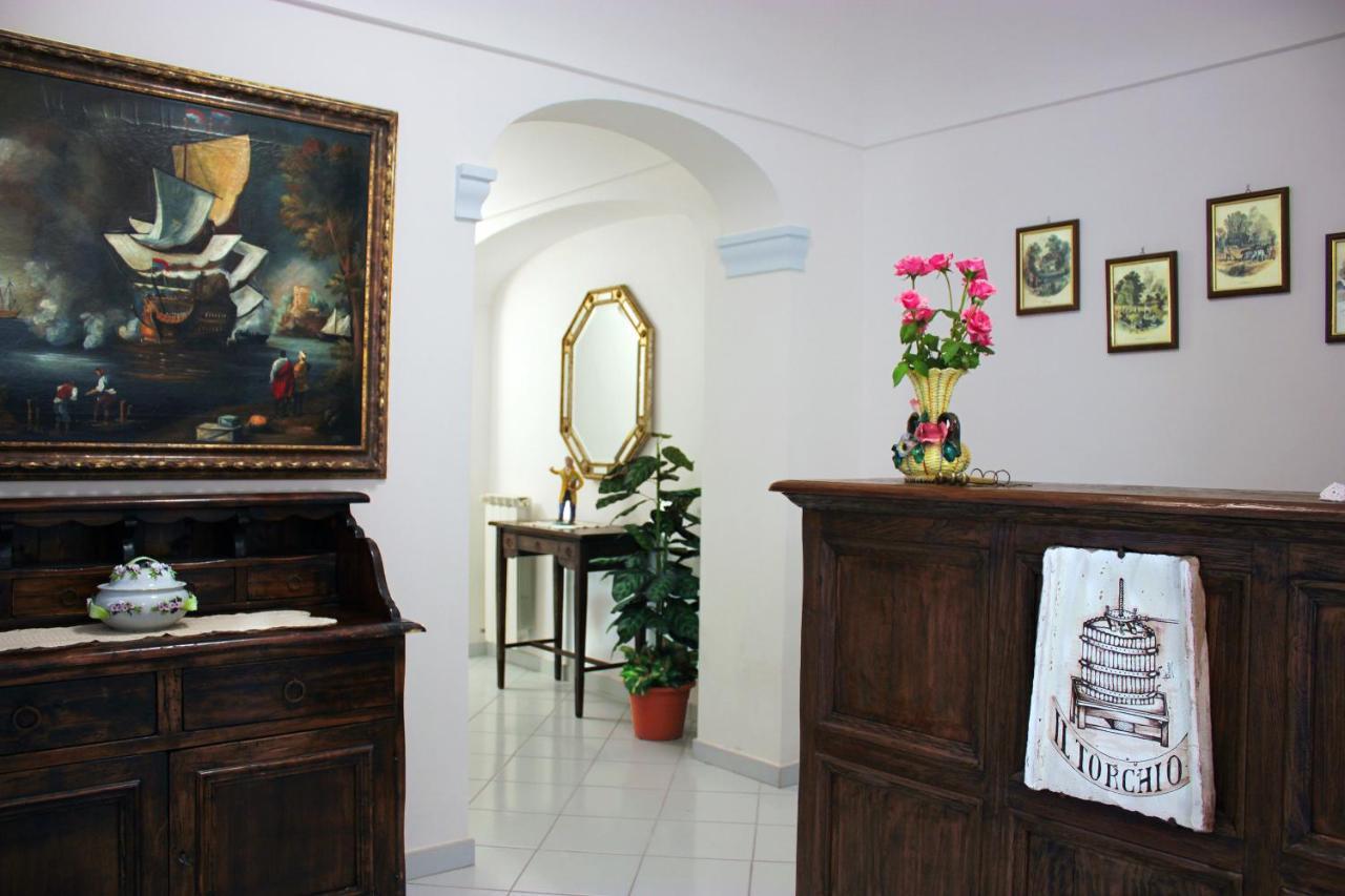 이스키아 La Pergola Del Torchio B&B 외부 사진