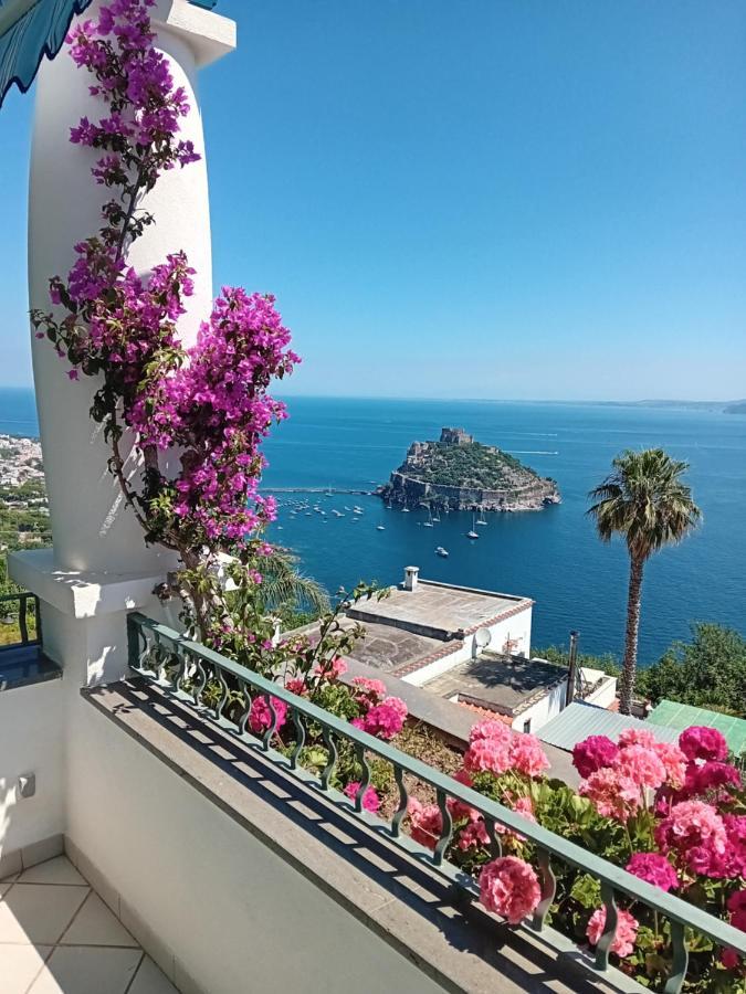 이스키아 La Pergola Del Torchio B&B 외부 사진
