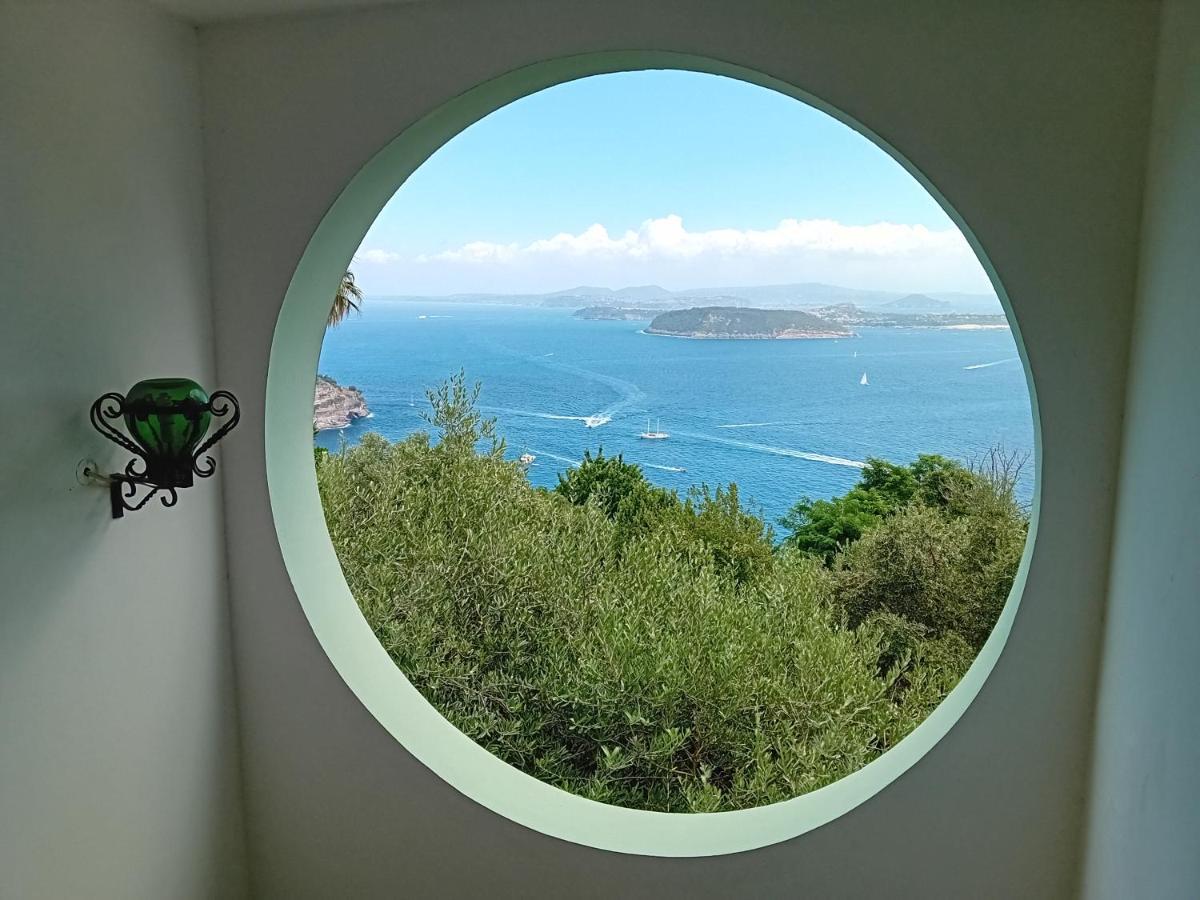 이스키아 La Pergola Del Torchio B&B 외부 사진